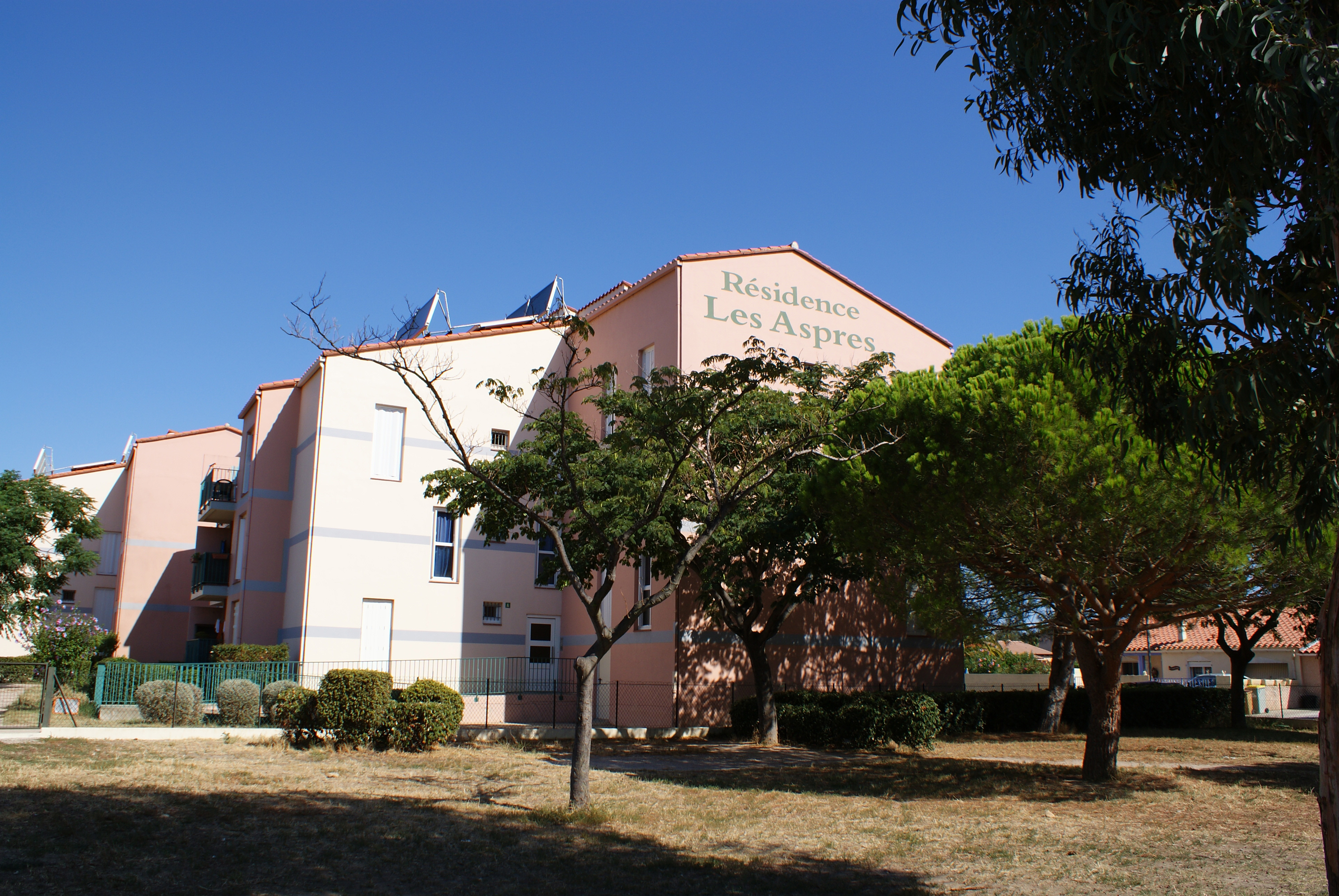 SONY DSC