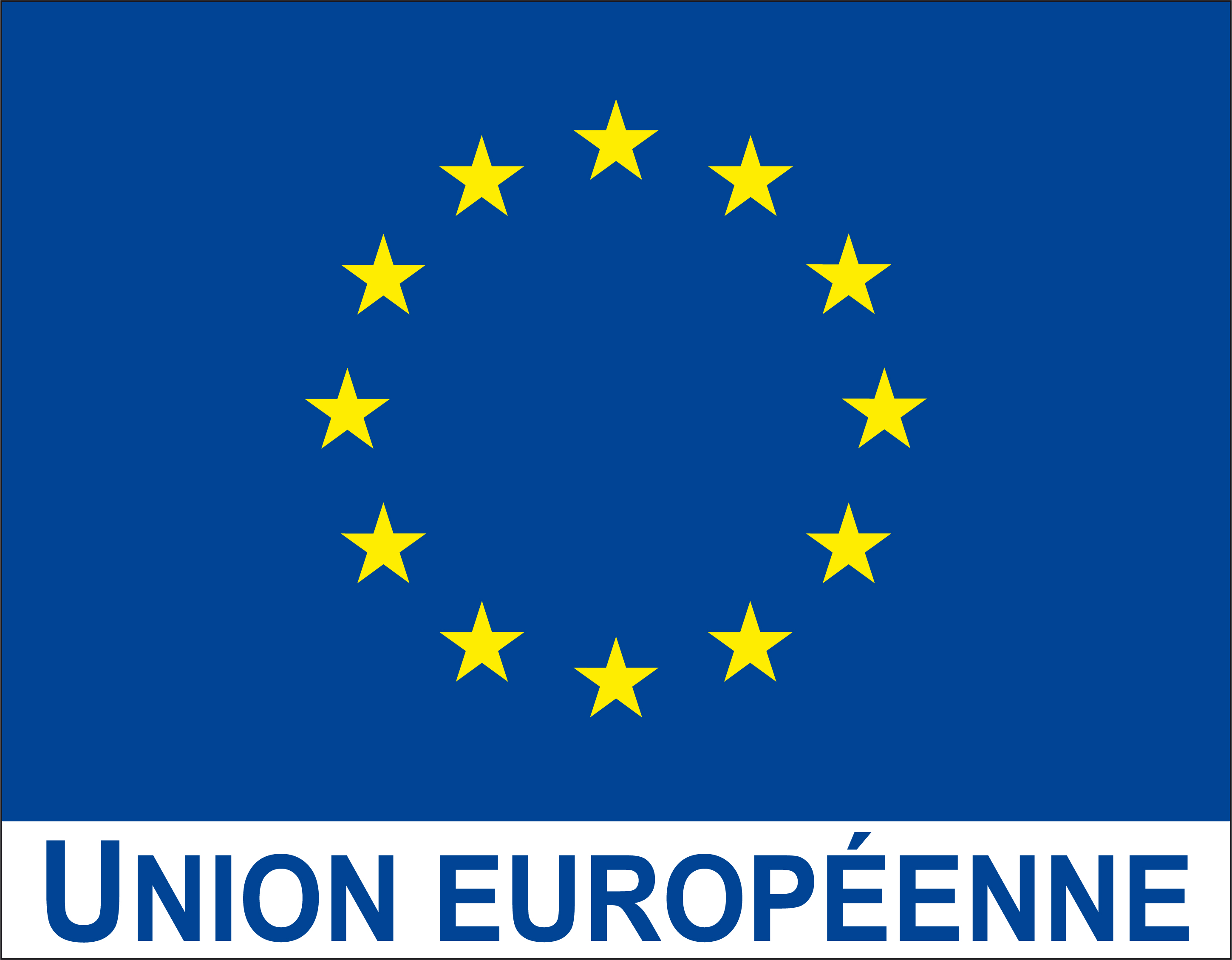 Drapeau Union europeenne avec logo UE